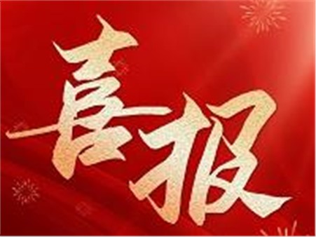 專精特新，鑄就行業(yè)"小巨人"！